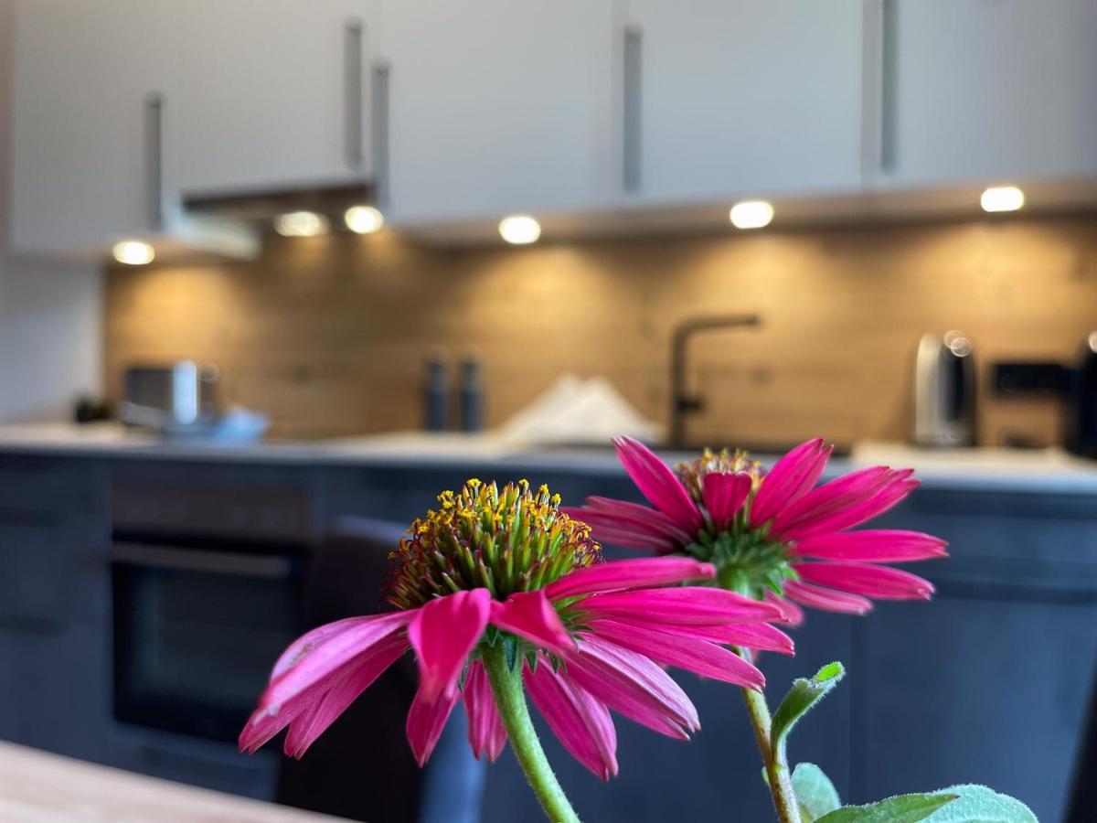 Kaunergrat Appartement Kaunerberg 외부 사진